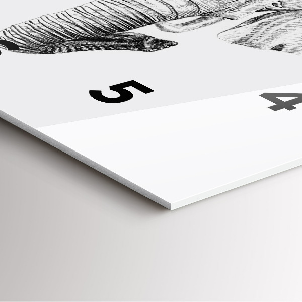 Zegar ścienny kwadratowy Graficzna głowa słonia