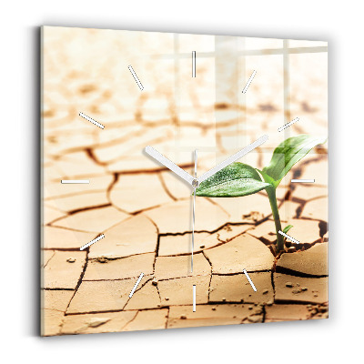 Kwadratowy zegar Roślina w suchej ziemi