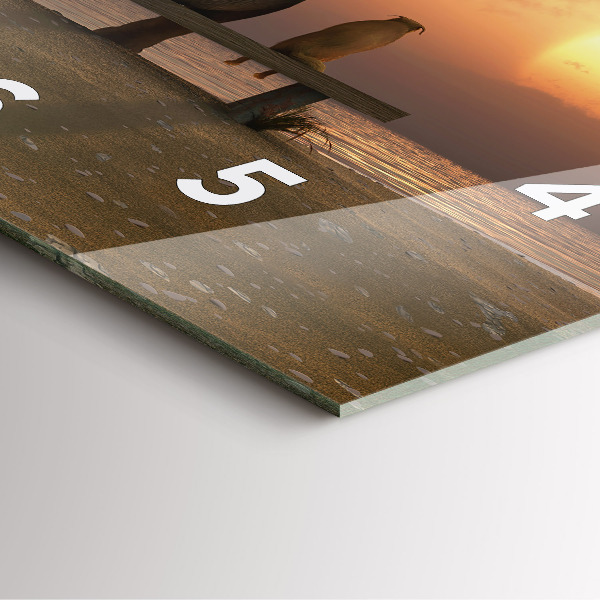 Kwadratowy zegar Zwierzęta i zachód słońca