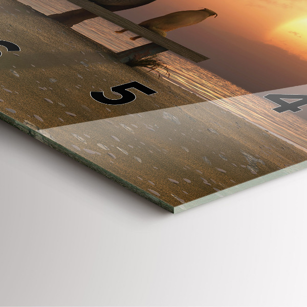 Kwadratowy zegar Zwierzęta i zachód słońca