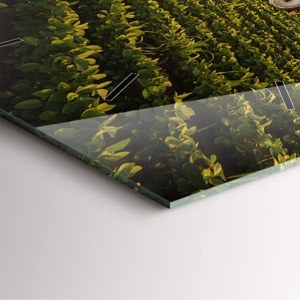 Zegar na ścianę kwadratowy Ciągnik na polu rolniczym