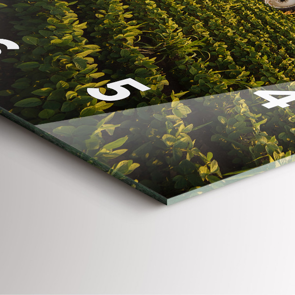 Zegar na ścianę kwadratowy Ciągnik na polu rolniczym