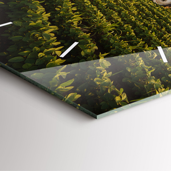 Zegar na ścianę kwadratowy Ciągnik na polu rolniczym