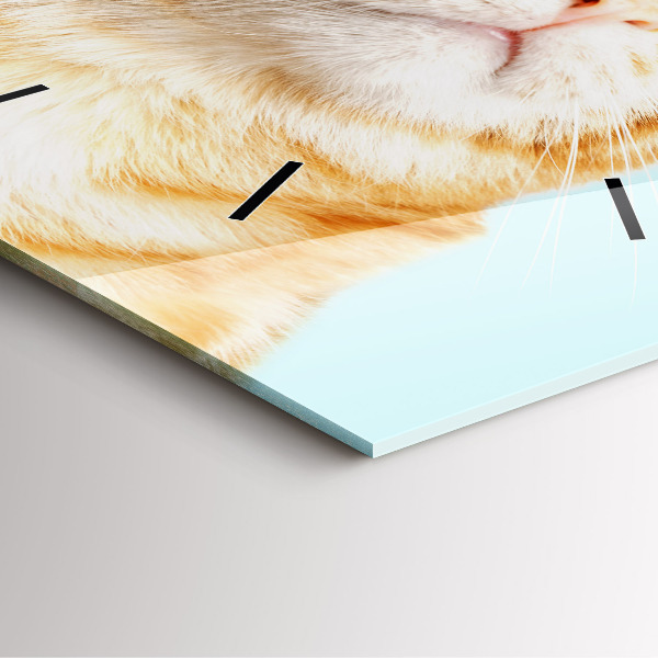 Zegar na ścianę kwadratowy Śmieszny kot w okularach