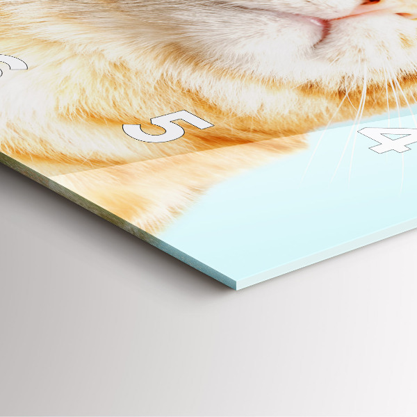 Zegar na ścianę kwadratowy Śmieszny kot w okularach