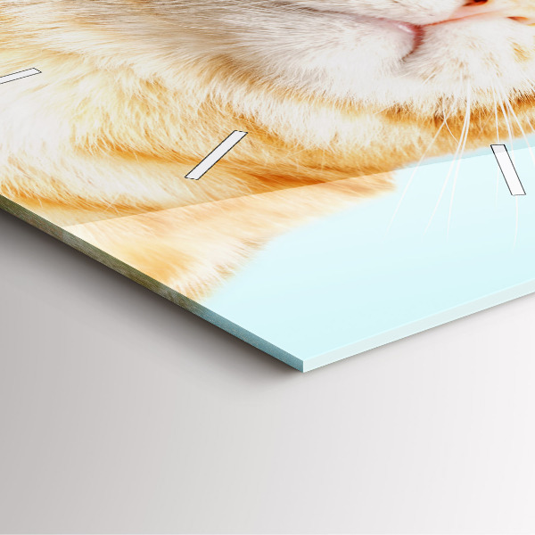 Zegar na ścianę kwadratowy Śmieszny kot w okularach