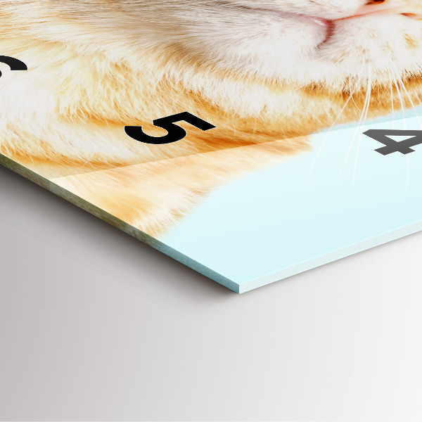 Zegar na ścianę kwadratowy Śmieszny kot w okularach