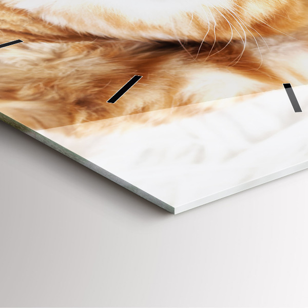 Kwadratowy zegar Śpiący mały kotek