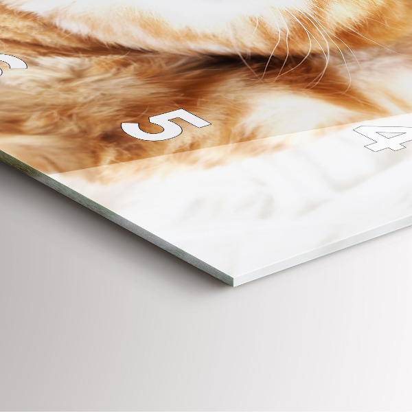 Kwadratowy zegar Śpiący mały kotek