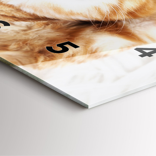 Kwadratowy zegar Śpiący mały kotek