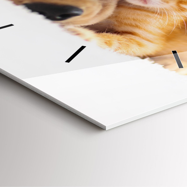 Zegar na ścianę kwadratowy Śpiący kot i pies