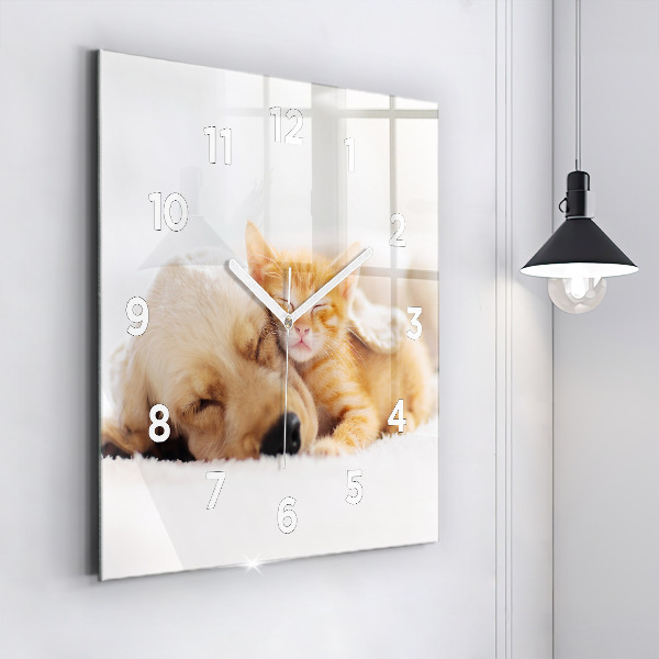 Zegar na ścianę kwadratowy Śpiący kot i pies