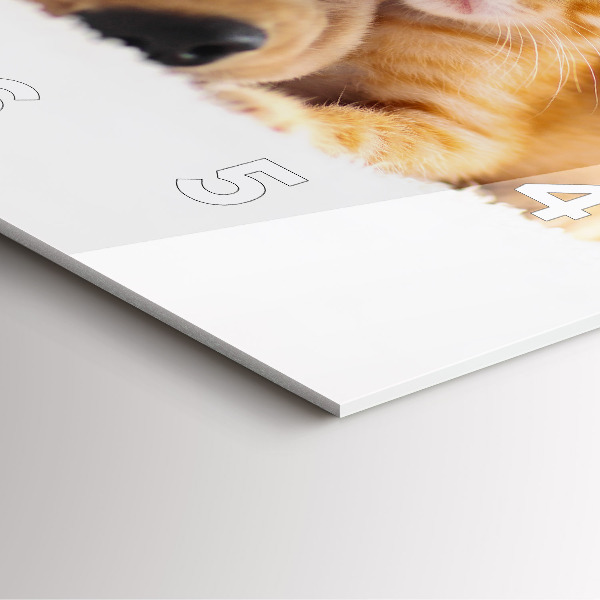 Zegar na ścianę kwadratowy Śpiący kot i pies