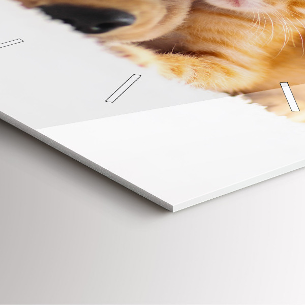 Zegar na ścianę kwadratowy Śpiący kot i pies