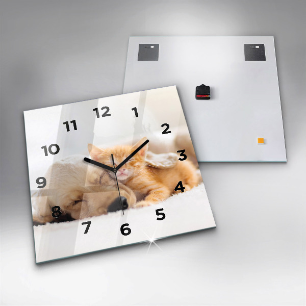 Zegar na ścianę kwadratowy Śpiący kot i pies