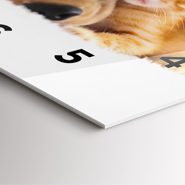 Zegar na ścianę kwadratowy Śpiący kot i pies