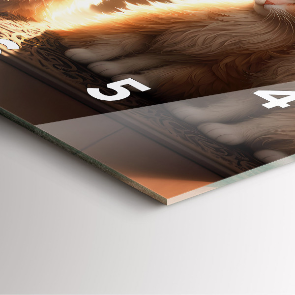 Zegar ścienny kwadratowy Cztery kotki w słońcu