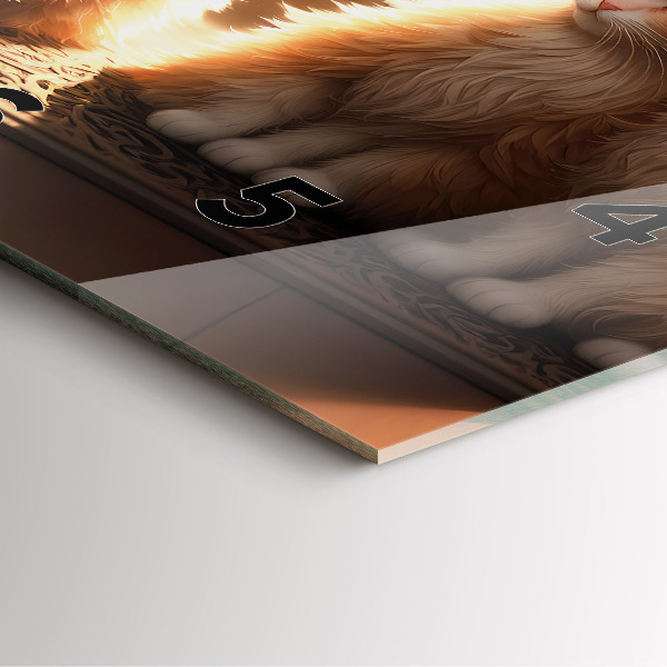 Zegar ścienny kwadratowy Cztery kotki w słońcu