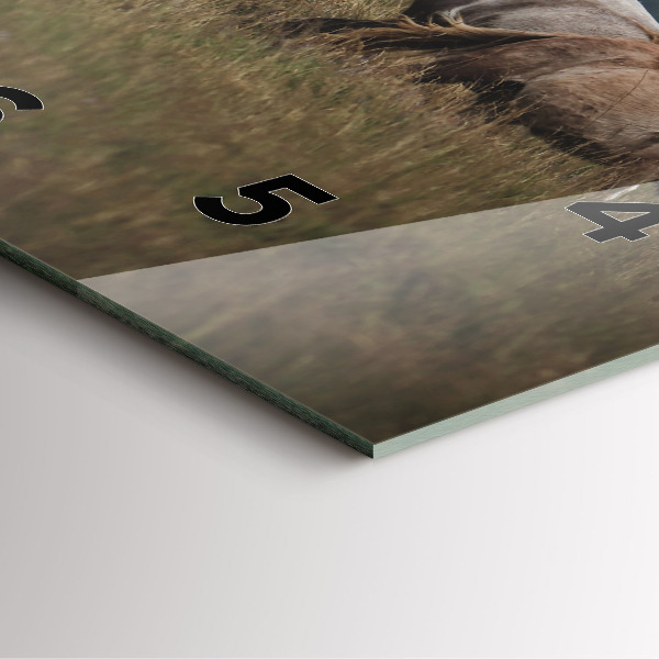 Zegar ścienny kwadratowy Konie w galopie