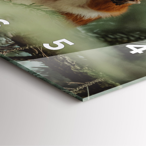 Zegar ścienny kwadratowy Wiewiórka i dzika natura