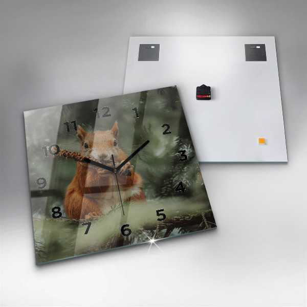 Zegar ścienny kwadratowy Wiewiórka i dzika natura