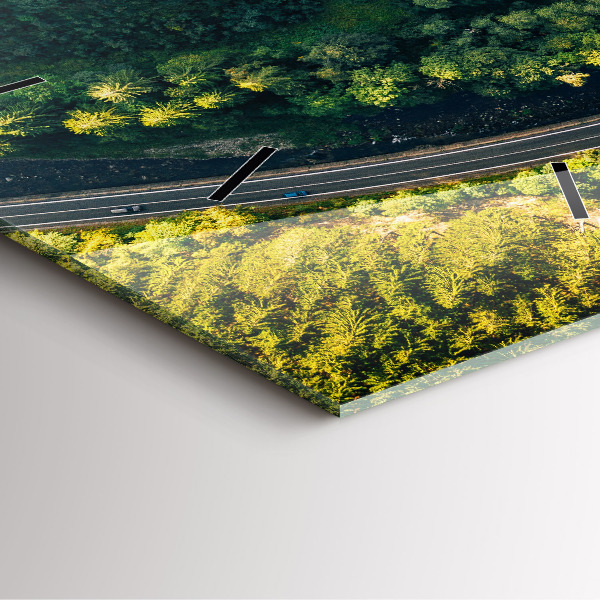 Zegar ścienny kwadratowy Las z lotu ptaka