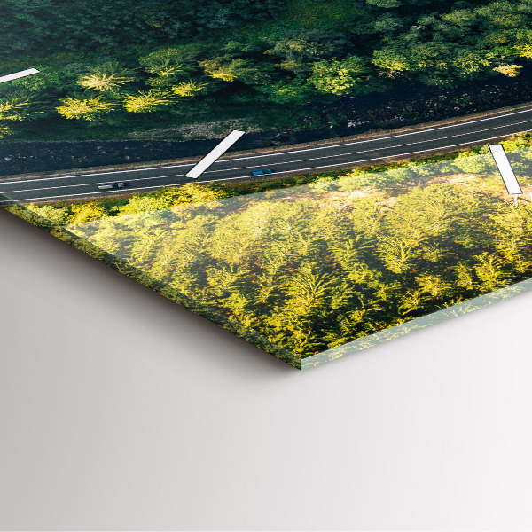 Zegar ścienny kwadratowy Las z lotu ptaka