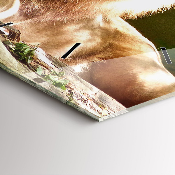 Zegar ścienny kwadratowy Portret Lwa