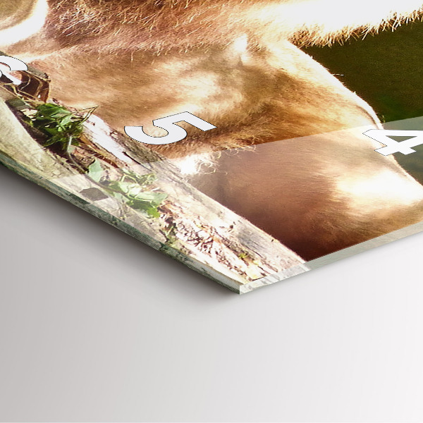 Zegar ścienny kwadratowy Portret Lwa