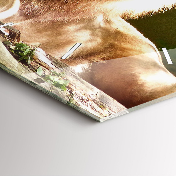 Zegar ścienny kwadratowy Portret Lwa