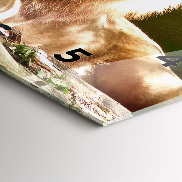 Zegar ścienny kwadratowy Portret Lwa