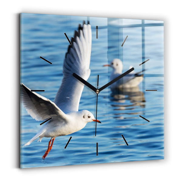 Zegar na ścianę kwadratowy Mewy w Gdyni