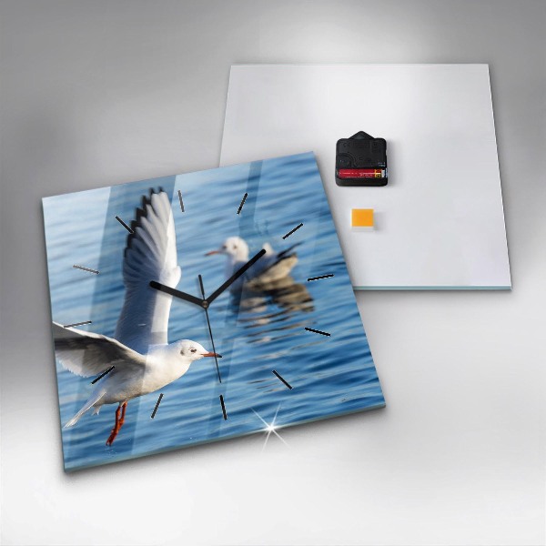 Zegar na ścianę kwadratowy Mewy w Gdyni