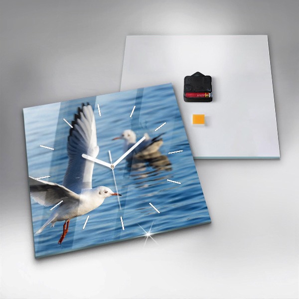 Zegar na ścianę kwadratowy Mewy w Gdyni
