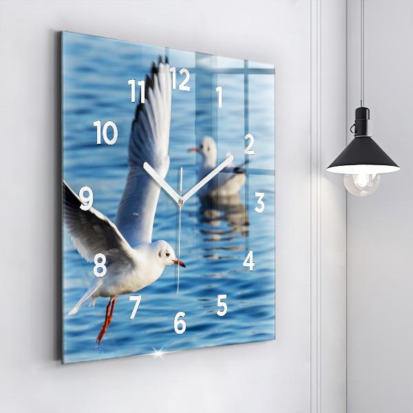 Zegar na ścianę kwadratowy Mewy w Gdyni