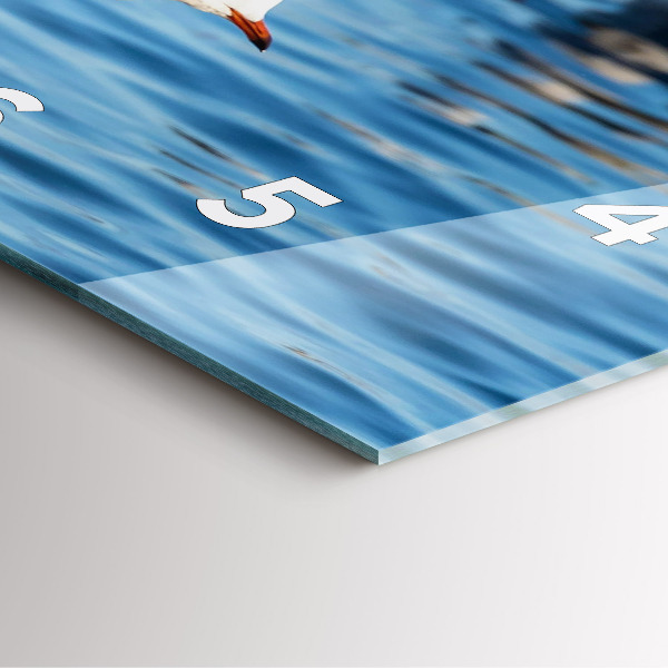 Zegar na ścianę kwadratowy Mewy w Gdyni