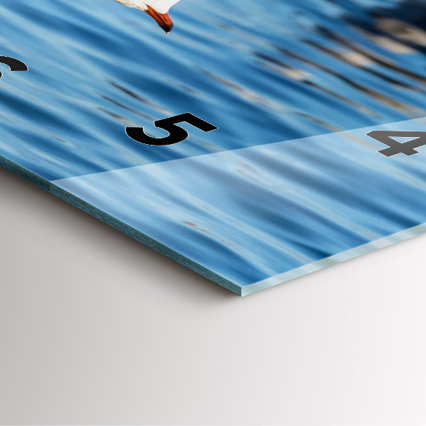 Zegar na ścianę kwadratowy Mewy w Gdyni