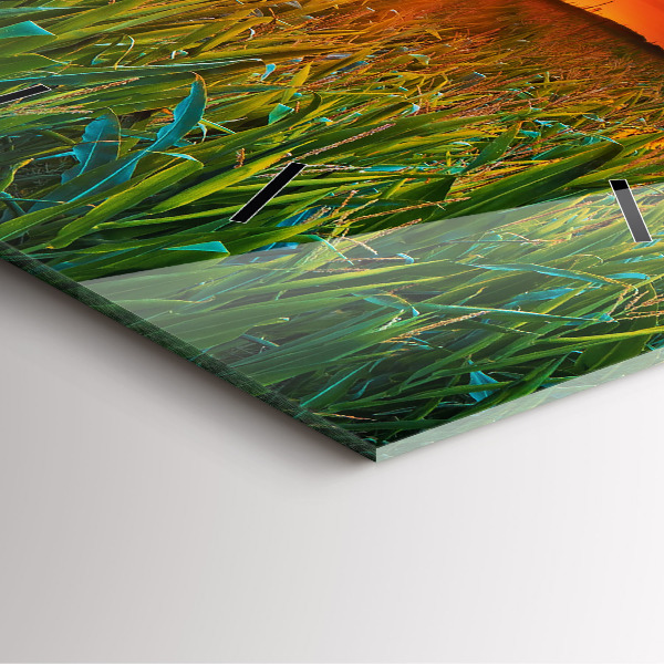 Zegar ścienny kwadratowy Słoneczniki na łące