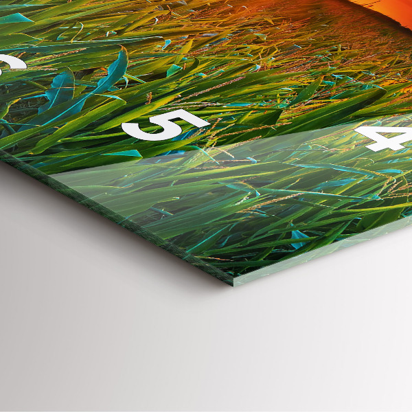 Zegar ścienny kwadratowy Słoneczniki na łące