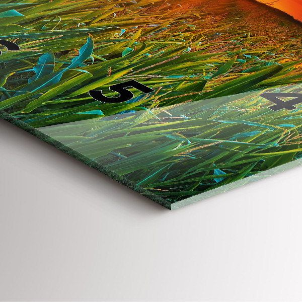 Zegar ścienny kwadratowy Słoneczniki na łące