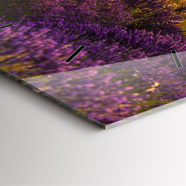 Kwadratowy zegar Łąka lawendowa Francja