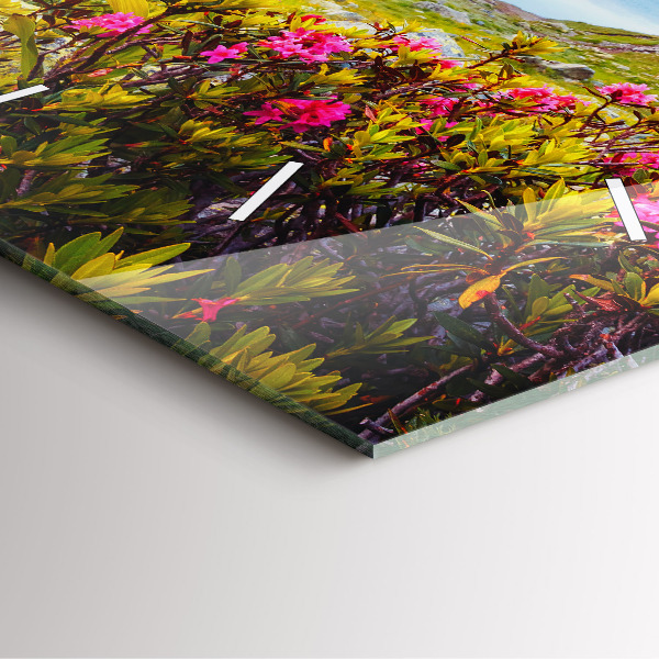 Zegar na ścianę kwadratowy Lodowiec Mont Blanc Chamonix