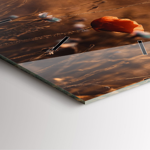 Zegar na ścianę kwadratowy Pole wschód słońca