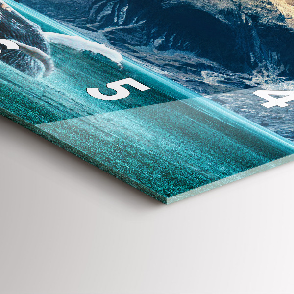 Zegar na ścianę kwadratowy Wieloryb woda