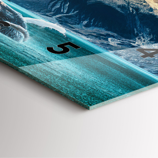 Zegar na ścianę kwadratowy Wieloryb woda