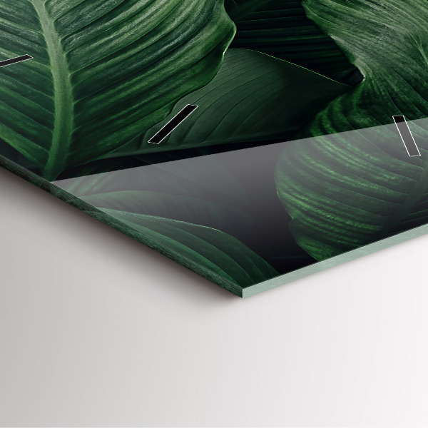 Zegar na ścianę kwadratowy Tropikalna monstera