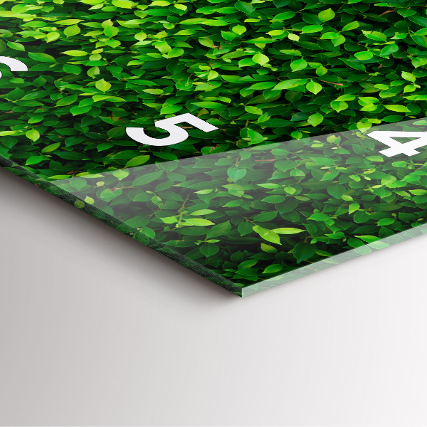 Zegar na ścianę kwadratowy Żywopłot liście