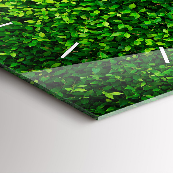 Zegar na ścianę kwadratowy Żywopłot liście