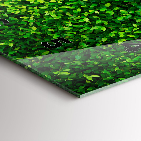 Zegar na ścianę kwadratowy Żywopłot liście