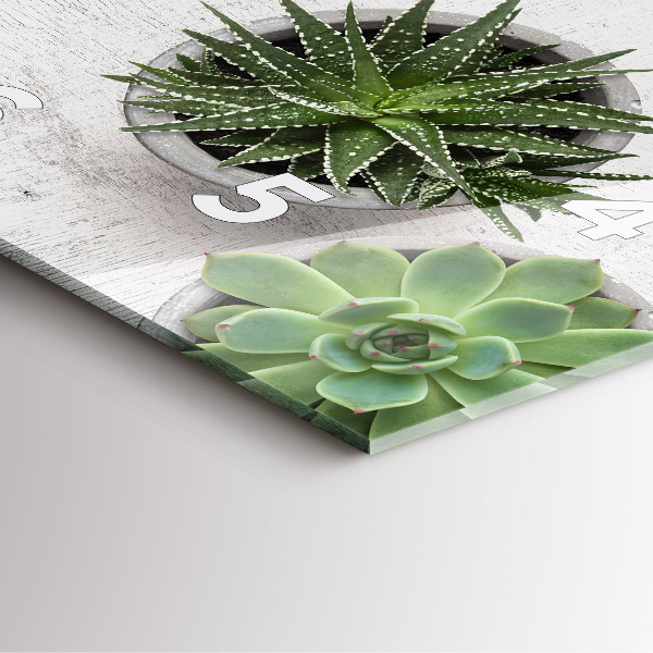 Kwadratowy zegar Rośliny dekoracyjne